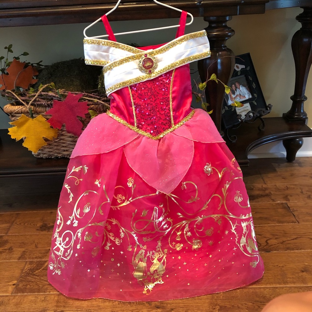 Disney Aurora (Sleeping Beauty) Costume